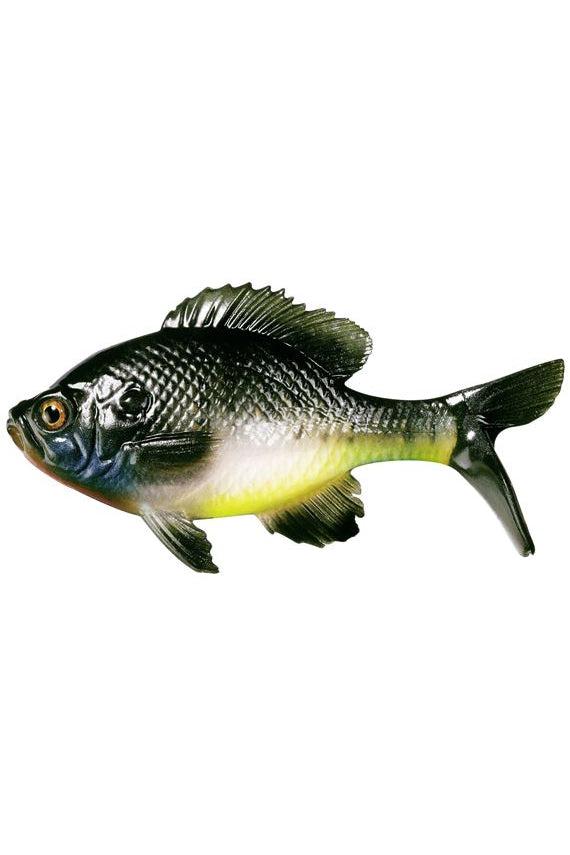 Natural Bluegill