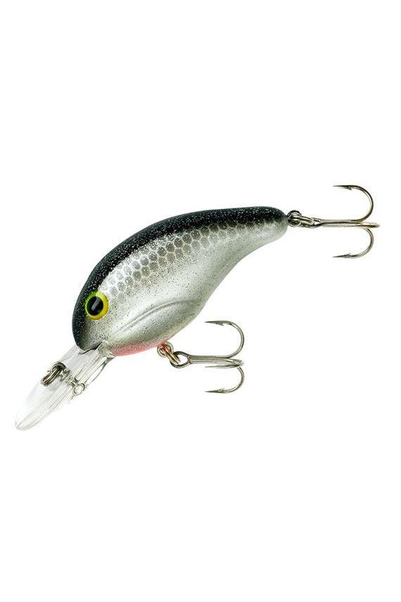 Silver Minnow