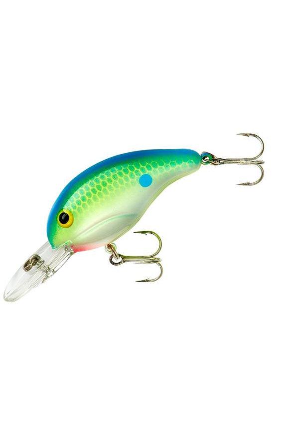 Citrus Shad