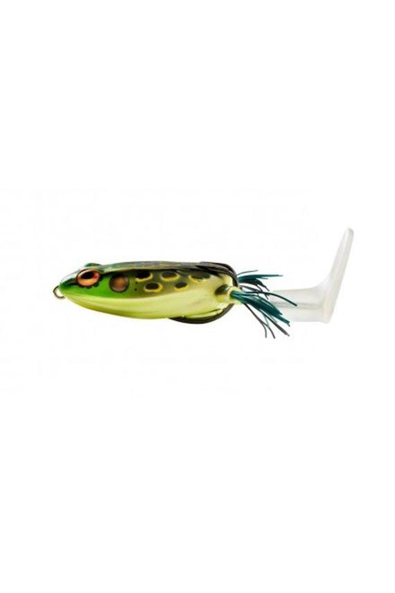 Bull Frog