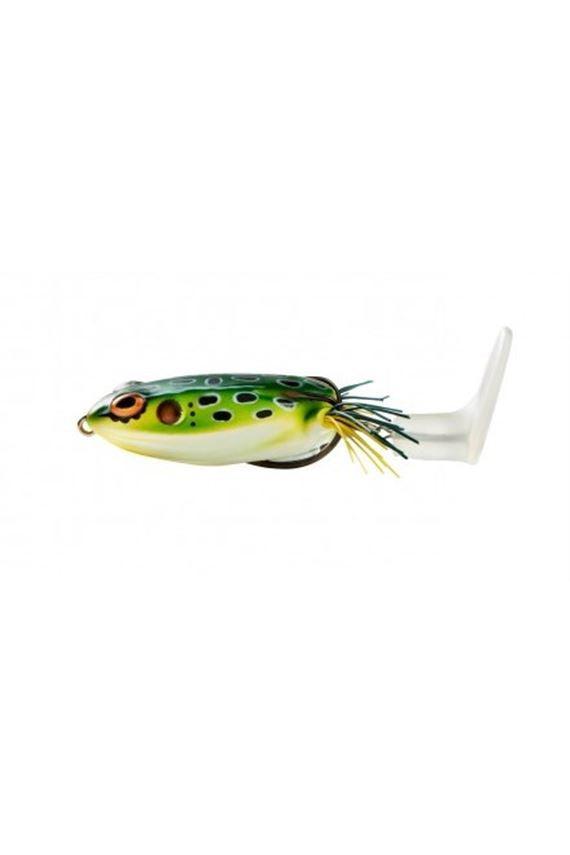 Leopard Frog
