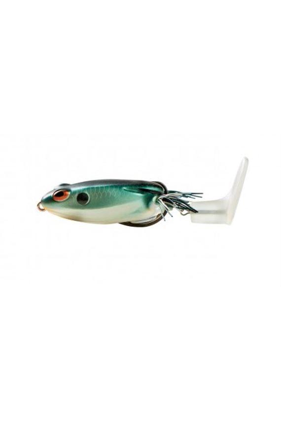 Shad Frog
