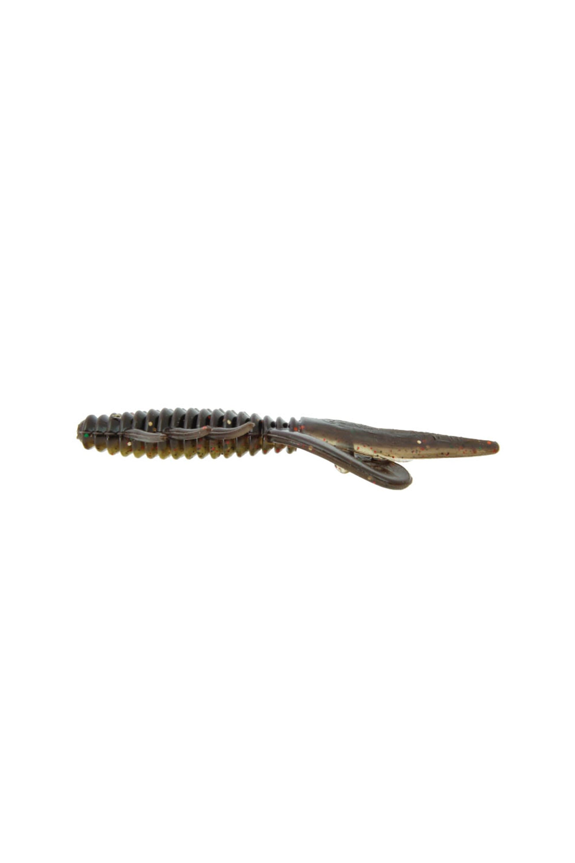 Motley Craw