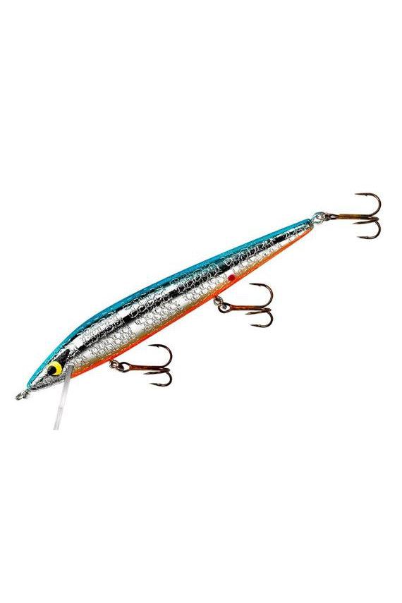 Chrome/Blue Back/Orange Belly