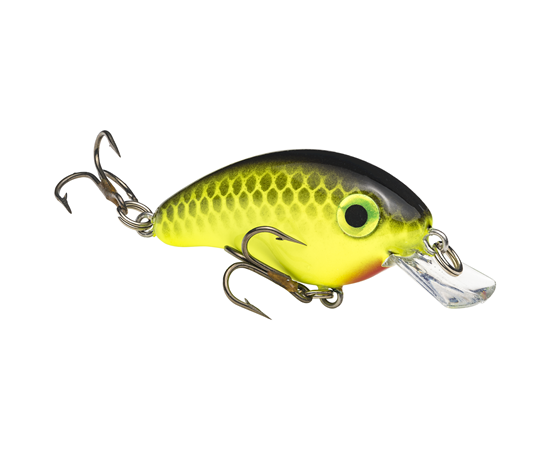 Chartreuse Black Back