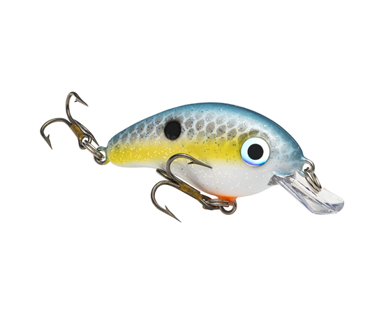 Sexy Shad