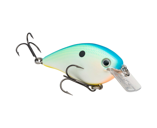 Citrus Shad
