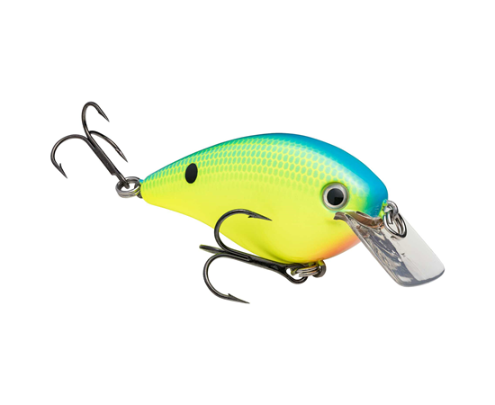 Powder Blue Back Chartreuse