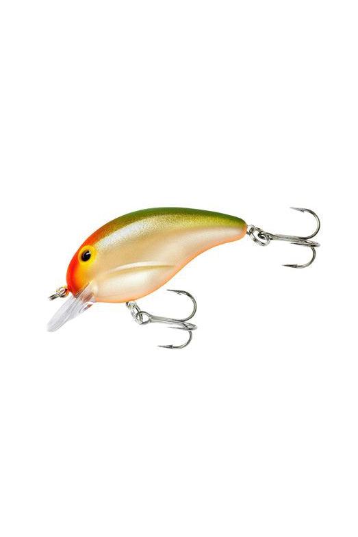 Parrot/Orange