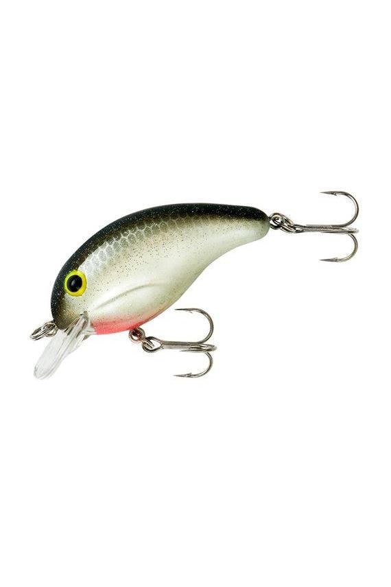 Silver Minnow