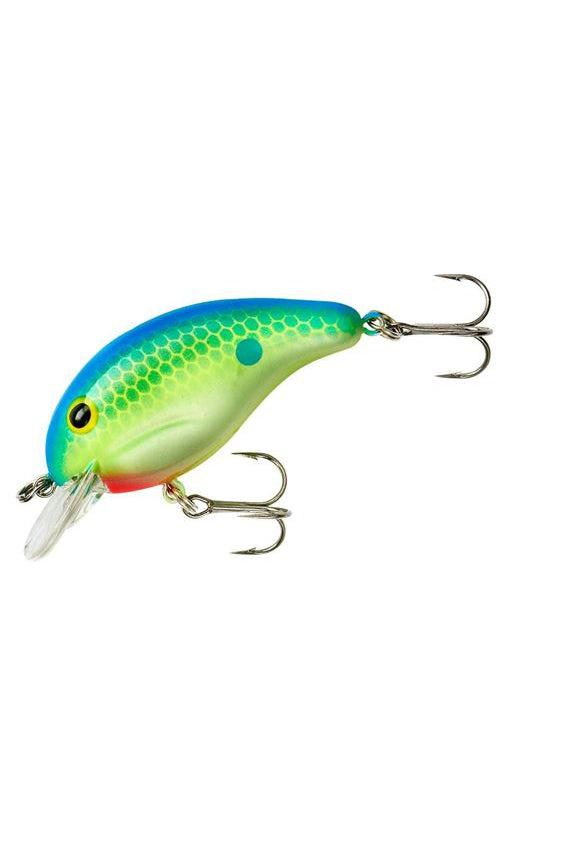 Citrus Shad