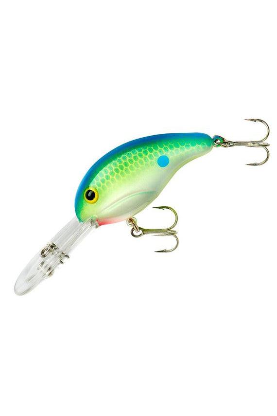 Citrus Shad