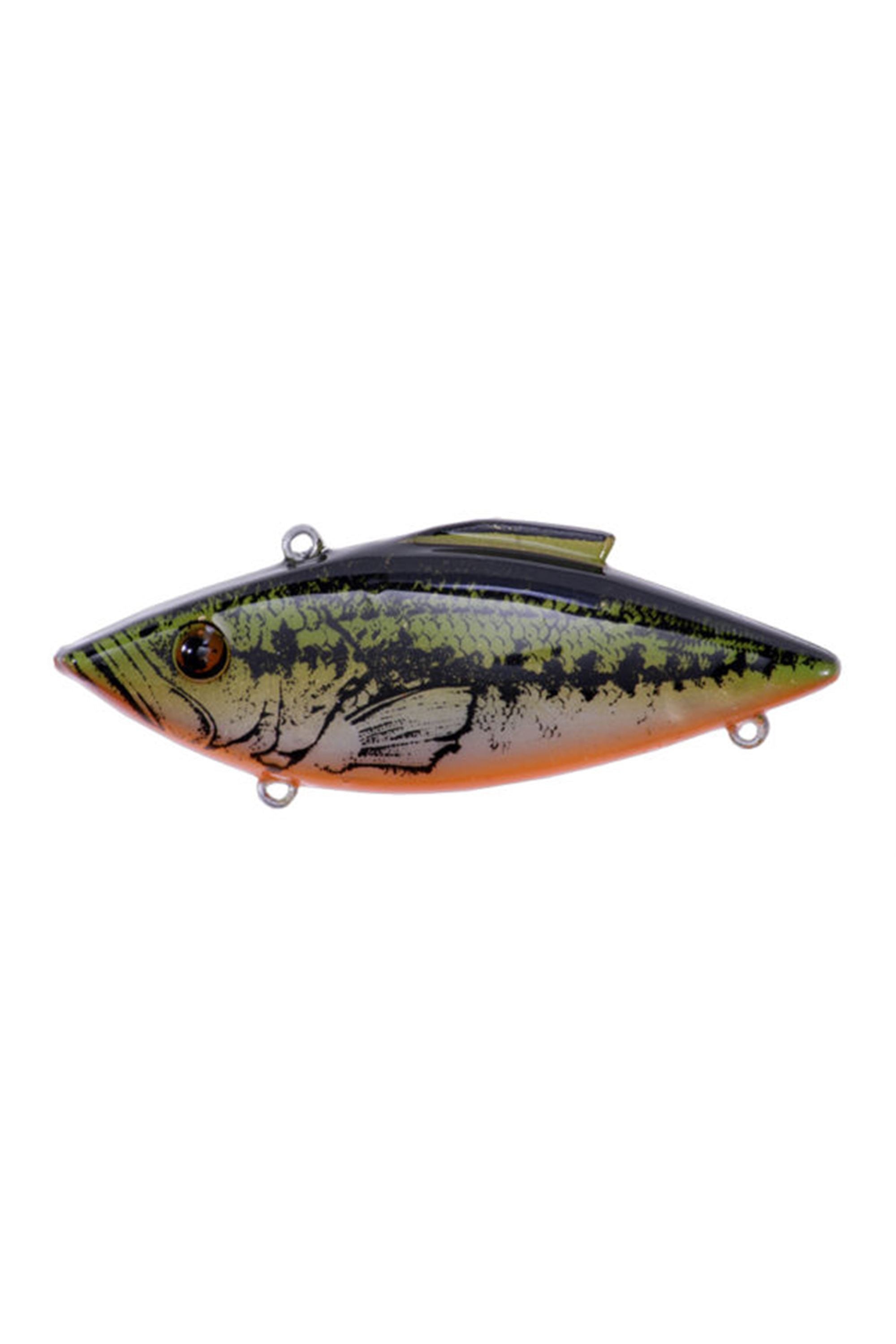 Yearling Bass Orange Belly