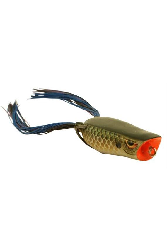 Killer Gill