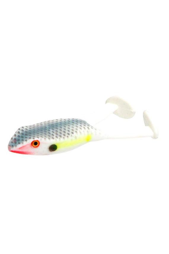 Sexy Shad