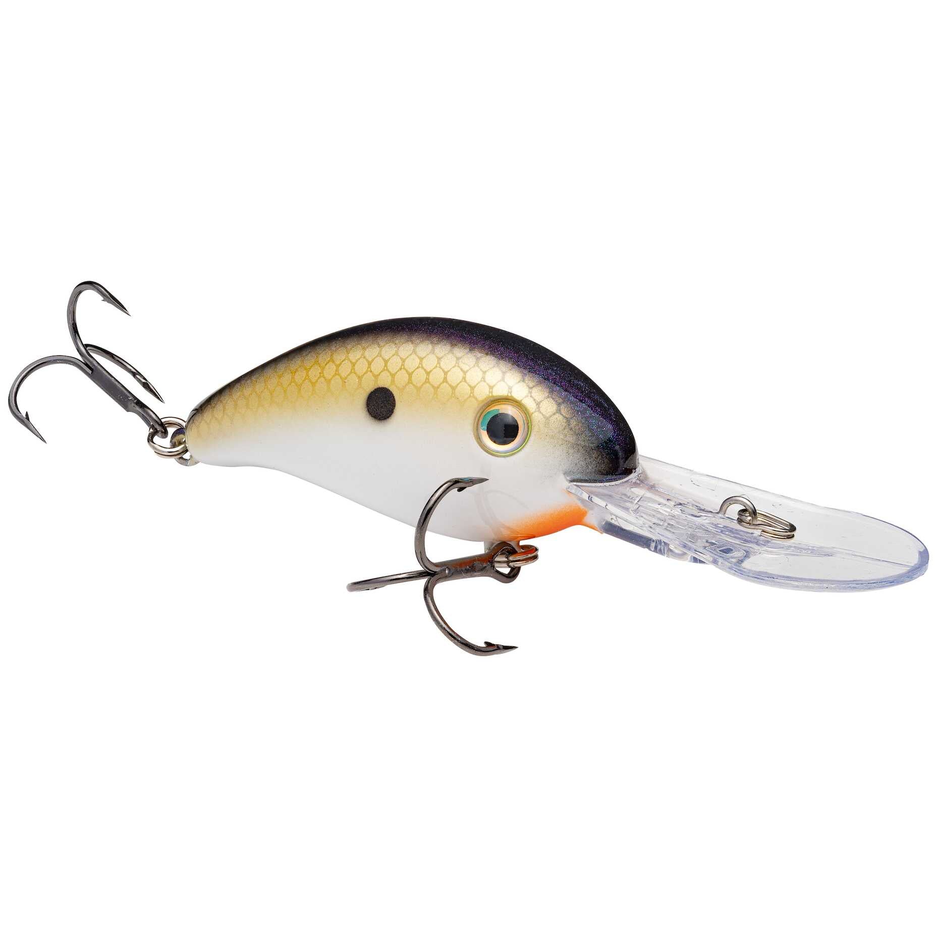 Tennessee Shad 2
