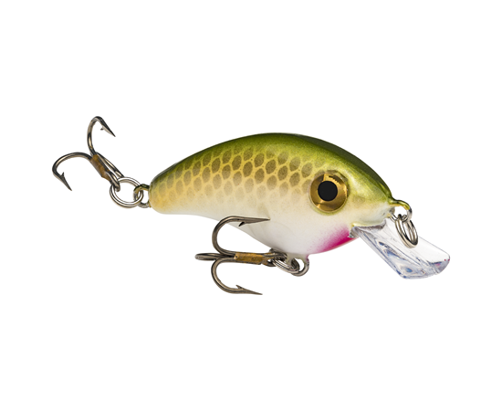 Tennessee Shad